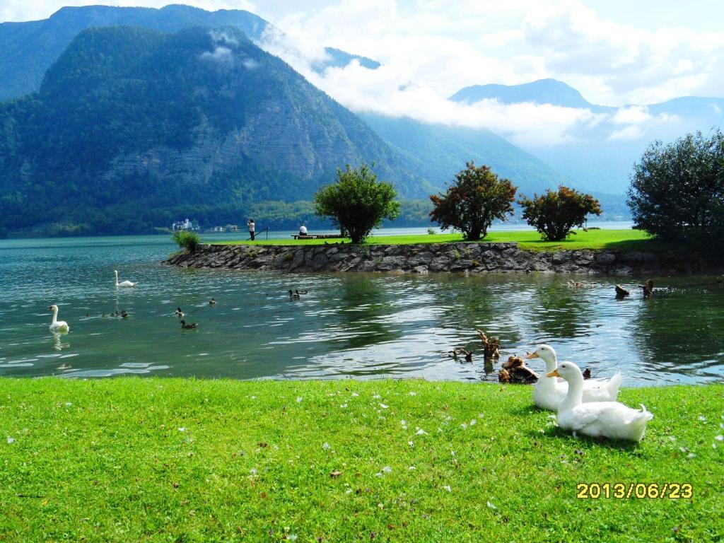 Cijan Apartment Hallstatt
